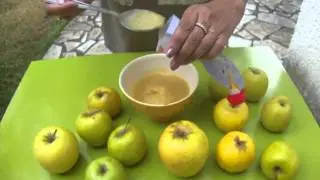 Magnifique gourdes 🍏
