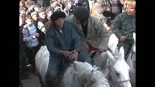 #KOPKARI