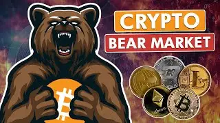 Crypto Bear Market - What You Need To Know