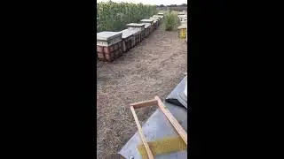 Как Навощить Магазинную Рамку 145 В Полевых Условиях