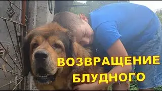ВОЗВРАЩЕНИЕ БЛУДНОГО СЫНА 😊😊
