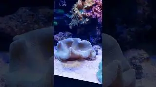 Как красиво.