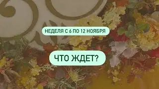 Прогноз на неделю с 6 по 12 Ноября! Что ждет?