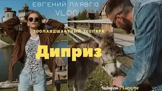 VLOG| Зоопарк Диприз. Несвижский Замок.
