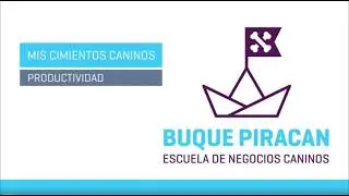 2. Productividad [Curso emprendimiento canino GRATUITO -LEVANDO ANCLAS]