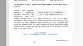 Page Navi