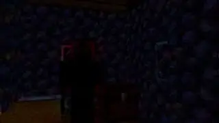 Minecraft VHS Horror: The Unknown Guest