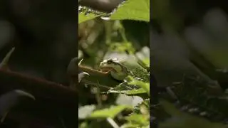 Het is lente. Ook op militaire vliegvelden begint de natuur te ontwaken.
