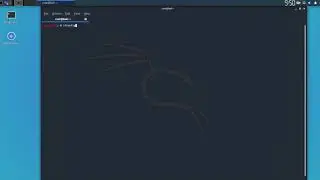 how to find ip address using kali linux