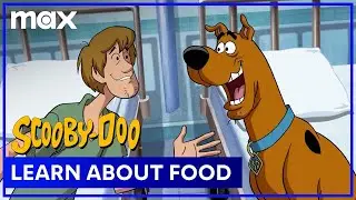 Scooby-Doo & Shaggy's Favorite Snacks | ﻿Scooby-Doo | Max Family