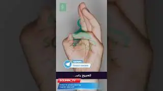 ЧИ ГУНА ТАСБЕХ БОЯД КАРД ТИБКИ СУНАТ! ТЕЛЕГРАМ КАНАЛИ МО/  https://t.me/solihin_tv #islam #ислам #1к
