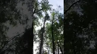Бобруйск