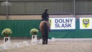 GUAPO   Katarzyna Milczarek   CDI Wrocław – 26 10 2024