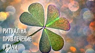 🍀РИТУАЛ НА ПРИВЛЕЧЕНИЕ УДАЧИ🍀🙌🏻💥💫💯‼
