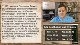 Бог освободил нас от вины