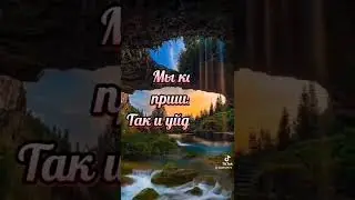 #статусы