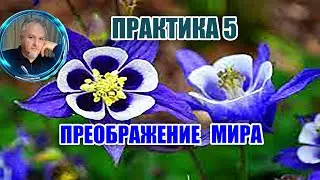 ПРАКТИКА 5. ВОЗВРАЩЕНИЕ ЧЕЛОВЕЧЕСТВУ ПРАВО -ТВОРИТЬ СЛОВОМ.