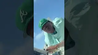 Tyler The Creator Keeps The Windows Clean