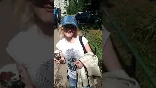 Блондинка и южный полюс