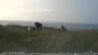 Tent opzetten in 40 seconden