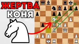 Таль жертвует Коня за вскрытие центра и разносит соперника