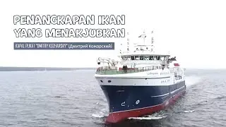PENANGKAPAN IKAN YANG MENAKJUBKAN (Kapal Pukat Dmitry Kozharsky)