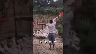 #shorts
