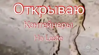 открытие контейнеров на Leste  #Lesta