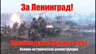 Освобождение Красного Села