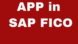 Automatic Payment Program (APP) in SAP FICO II APP Configuration with detailed explanation
