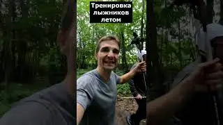 Тренировка лыжников летом #sports #лыжныегонки #спорт #лето #головино
