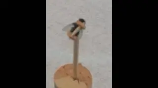 Mouche qui fait des haltères