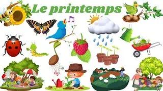 Apprendre le lexique du printemps en français. mots et phrases.
