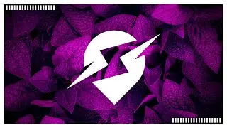 Dmerlo - Vessel