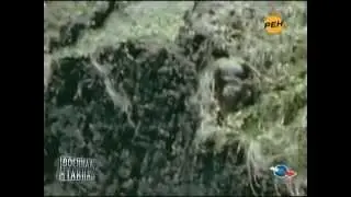 Военная тайна - 68 выпуск