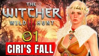 Witcher 3: Ciri 100% of The Time MODDED Evil Gameplay: Part 1