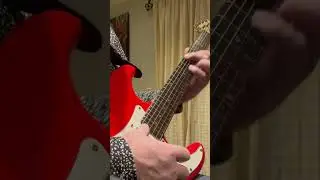 #guitar #stevierayvaughan #stratocaster #guitarist #texas