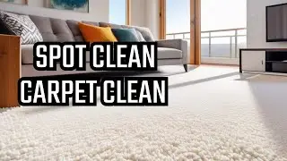 Spot Cleaner Carpet From Tower A Real Life Test - Unboxing