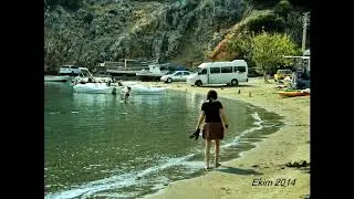 Yıl yıl Hayıtbükü