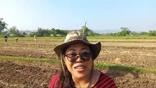 Sorotan 0.05 - 5.04 dari nandur jagung #ayupratikasari