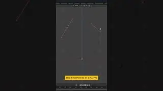 Join End Points Of Curve In Blender  #tutorial  #tips  #blender  #3d  #b3d  #learning