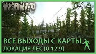 Все выходы с карты | Локация Лес | Escape from Tarkov