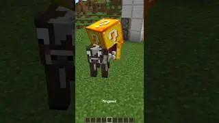 I added sucky blocks to 