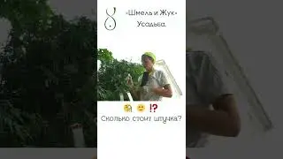 Обрезка туй часть 3