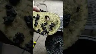 Адсорбер изнутри