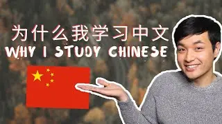 why i started learning chinese (#whyspeakchinese2020 contest)