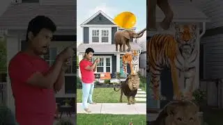 Animal names balloon vfx magic video🦣🐅|vfx effect|visual effect|blender vfx|vfx green screen effect