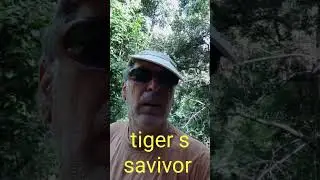 suvivor