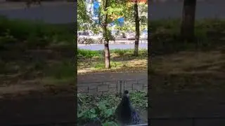 Всем хорошего дня и всем привет крылом!🙏♥️🥰🐦