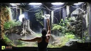 I Unleashed a Swarm of Huntsman Spiders Into My Giant Rainforest Vivarium